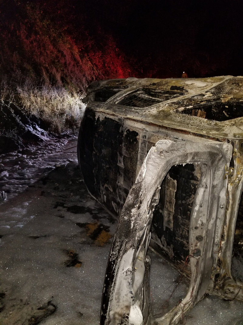 Illustration for article titled Clumsy bear falls on police car, causes highway fire, flees the scene